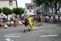 IMG_6169 (2) 